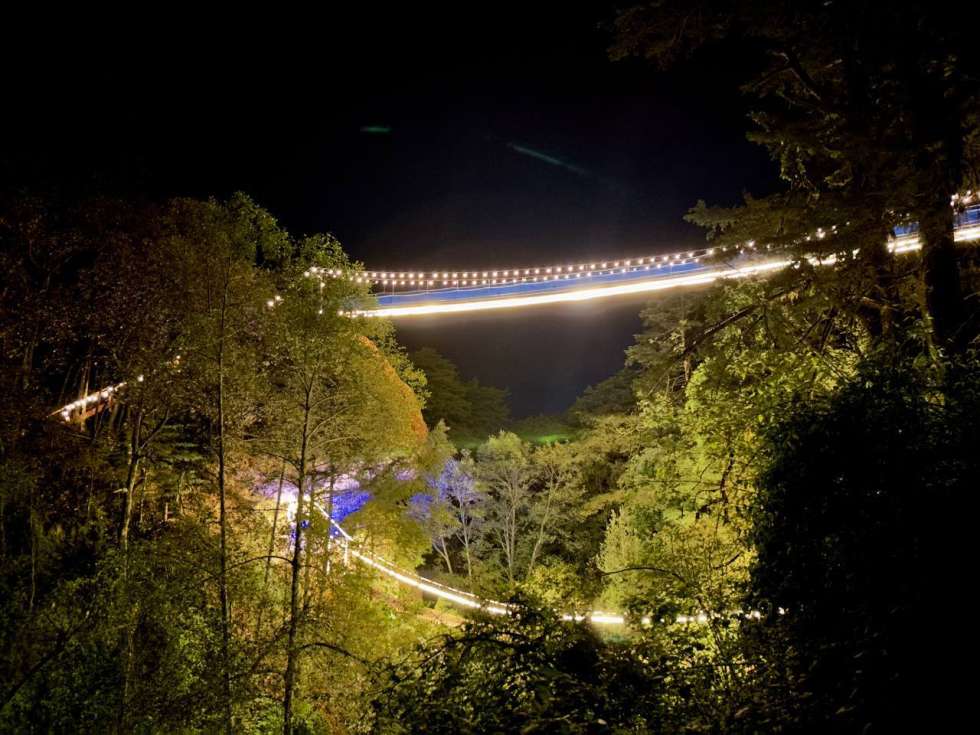 Entre cabañas y bosques